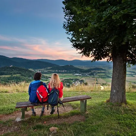 Apartma Alda 公寓 *