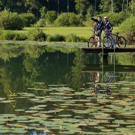 Apartma Alda Preserje