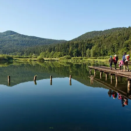 Apartma Alda 公寓 Preserje (Greater Ljubljana)