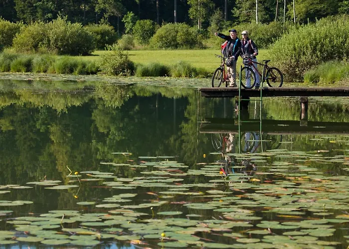 Apartma Alda Preserje (Greater Ljubljana)