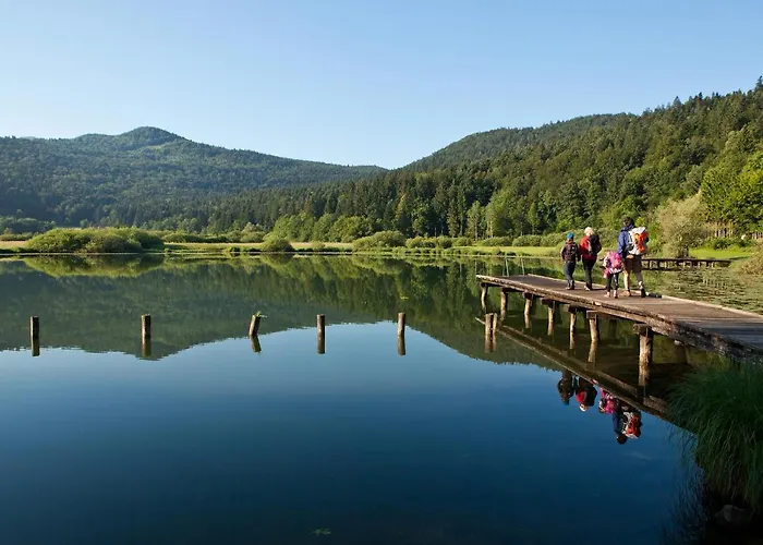 Apartma Alda דירה Preserje (Greater Ljubljana)